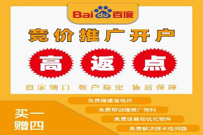 谷歌竞价广告与SEO结合的营销案例解析